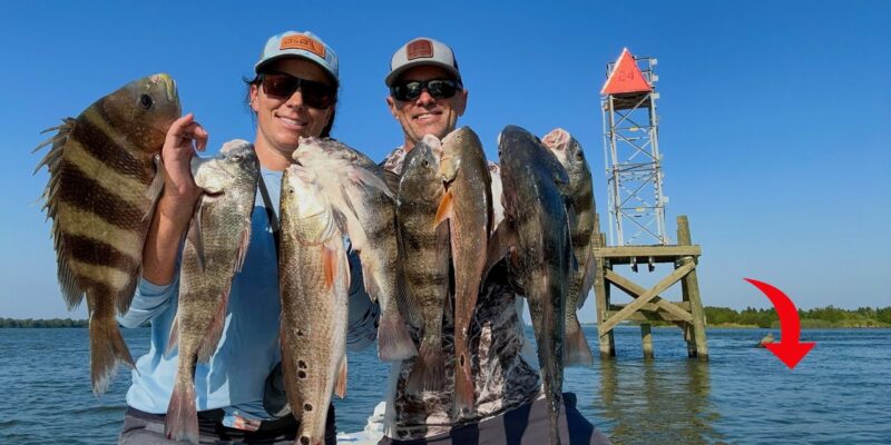 MARSH MAN MASSON: Why These Fish and Many More Were in This Spot!