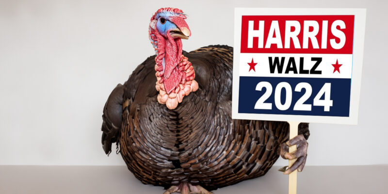 CROUERE: Kamala Harris Wins Turkey of the Year Award