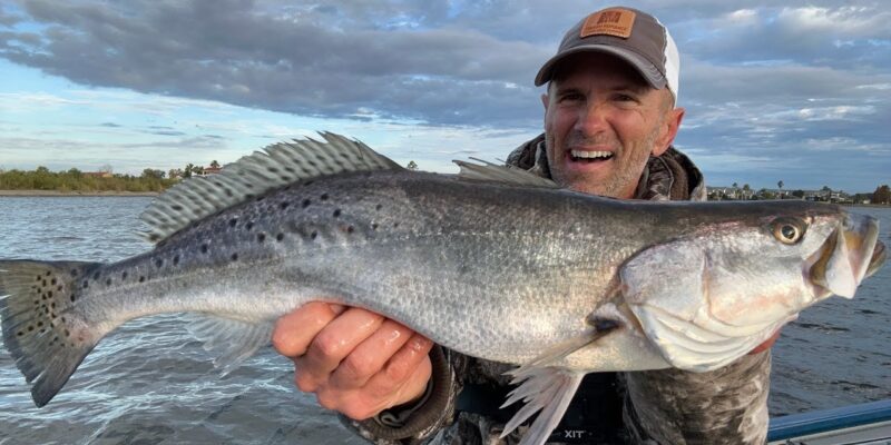 MARSH MAN MASSON: Catching GIANT Speckled Trout in Residential Canals!