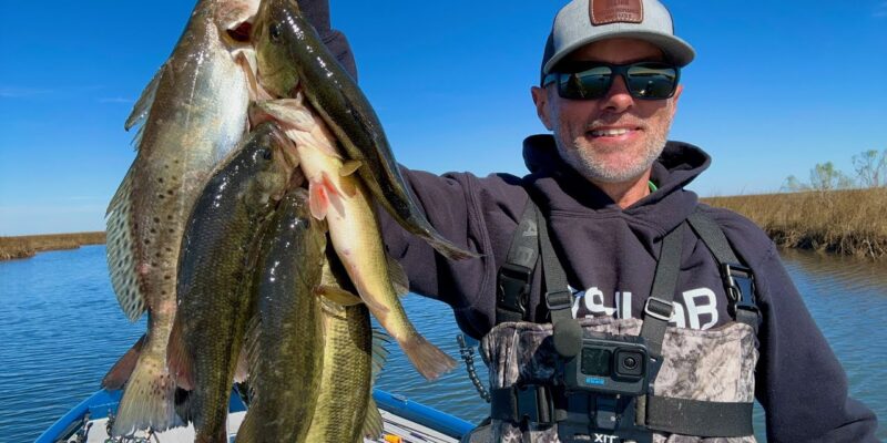 MARSH MAN MASSON: Marsh Cuts are Holding All the Fish!