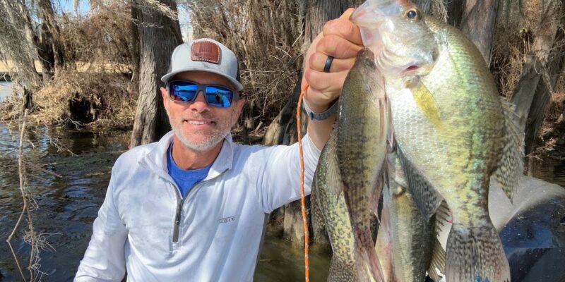 MARSH MAN MASSON: Crappie Already CRUSHING This Technique! Catch & Cook