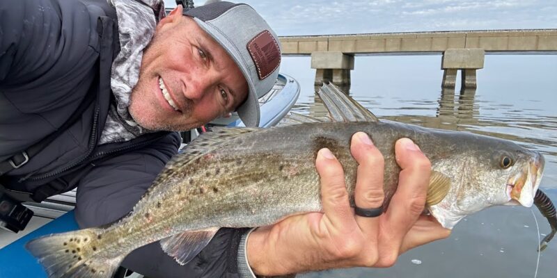 MARSH MAN MASSON: IT’S ON! Speckled Trout Hugging to Bridge Pilings!