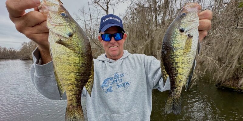 MARSH MAN MASSON: This Technique Pulls Crappie Out of Laydowns!