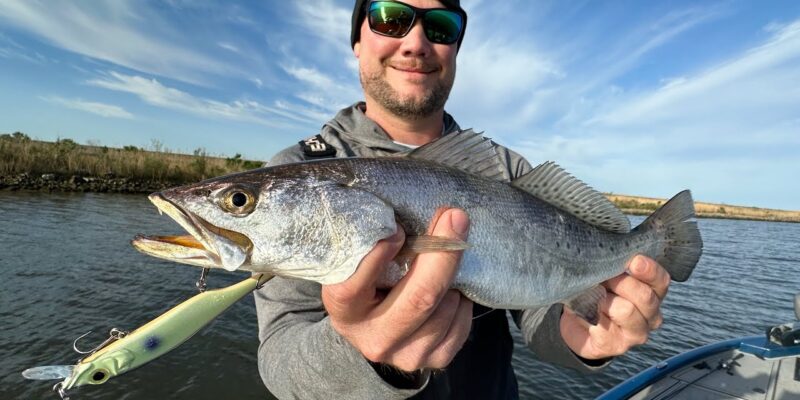 MARSH MAN MASSON: Spring Speckled Trout CHOMPING on This!