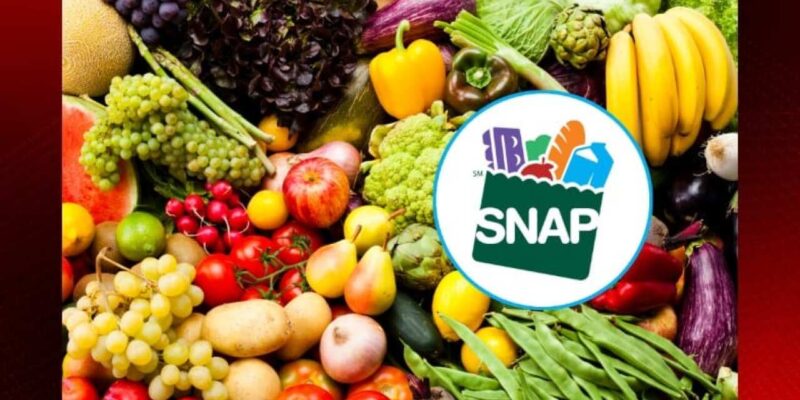 SADOW: Louisiana Welfare Policy Must Promote, Not Pander