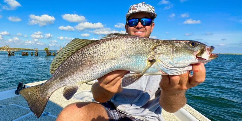 MARSH MAN MASSON: 2 Hours of PHENOMENAL Fishing at Venice, La.!