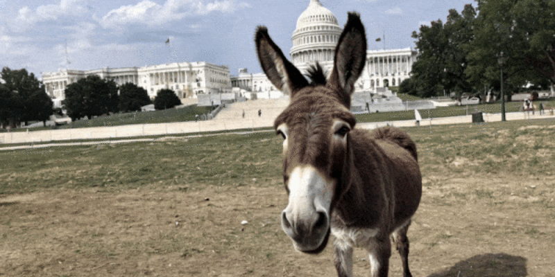 GIBERT: Will The Democrats Please Stop Lying About The Big Beautiful Bill?