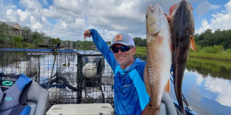 MARSH MAN MASSON: I Put Traps Out to Catch Crabs While I Fished!