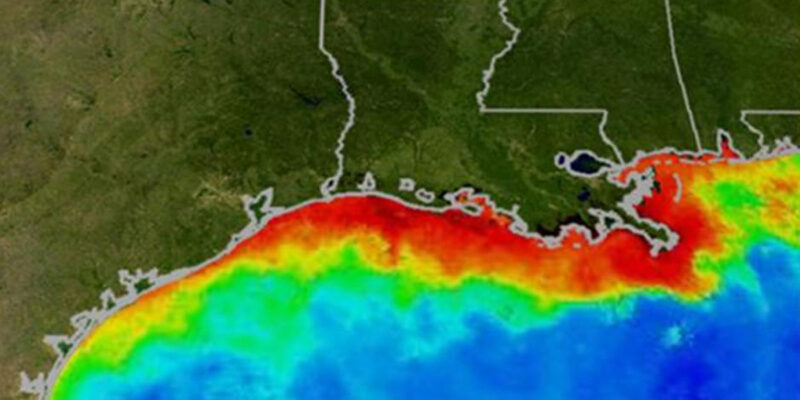 Gulf of America ‘dead zone’ shrank sharply in 2025, scientists say