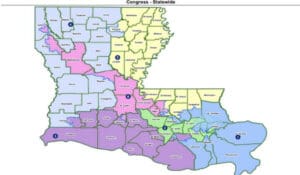 JACKSON: Racial Gerrymandering Case Does Not Gut Voting Rights Act