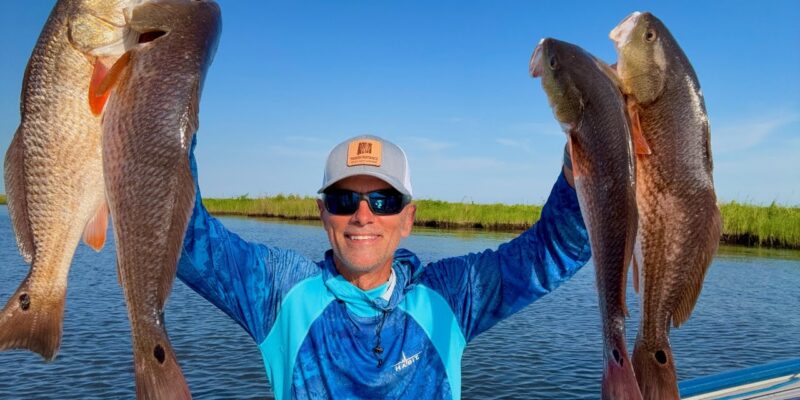 MARSH MAN MASSON: 20-inch Redfish All of a Sudden Everywhere!
