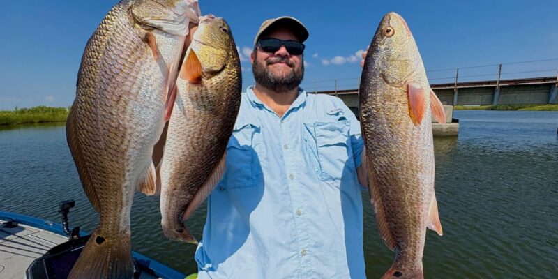 MARSH MAN MASSON: Reds, Specks Right Where They’re Supposed To Be!