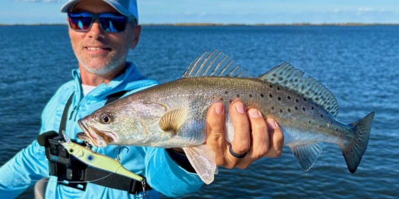 MARSH MAN MASSON: Community-Hole Specks are CRUSHING Hard-Plastics!