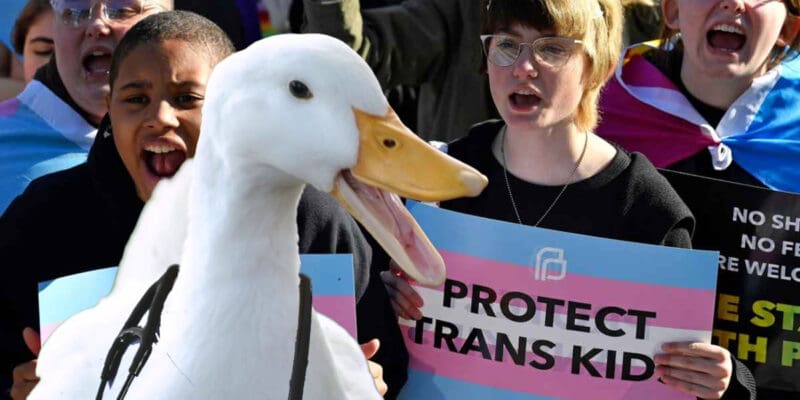 HHS Exposes the Medical Fraud of Sex-Change Procedures on Children