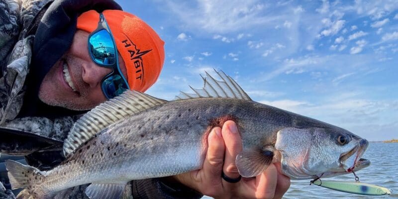 MARSH MAN MASSON: Best Trip of the Year! Lots & BIG!