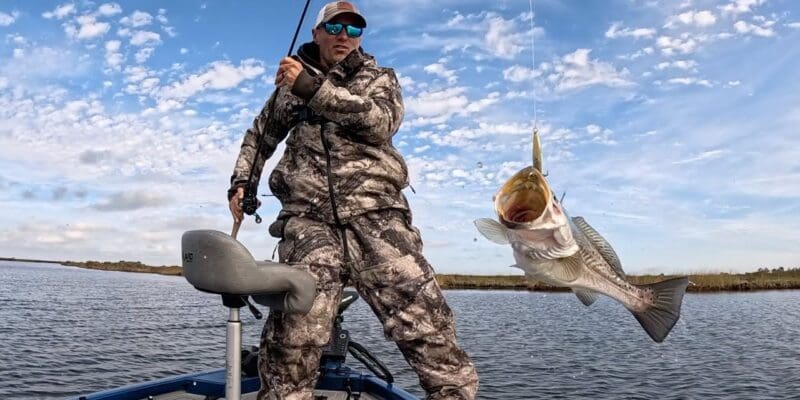 MARSH MAN MASSON: This is Just a FANTASTIC Speck Pattern Right Now!