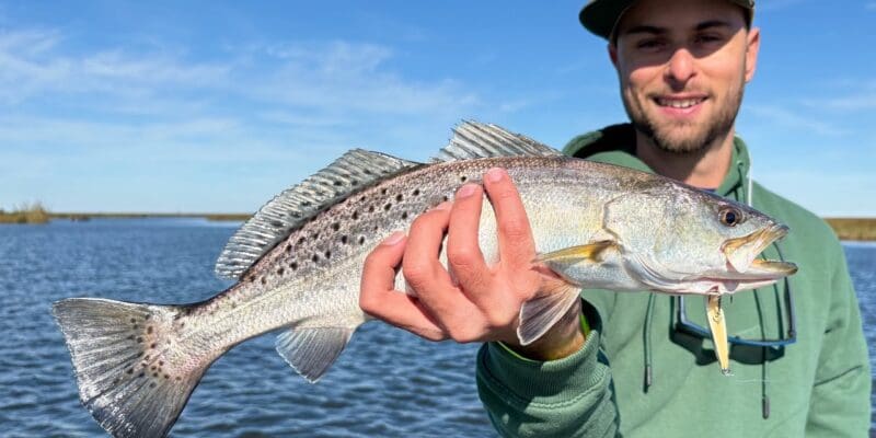 MARSH MAN MASSON: We Caught ’em and Cooked ’em in the Marsh!