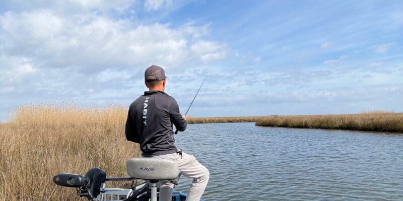 MARSH MAN MASSON:  Spring Has Sprung – the Marshes Come Alive!!