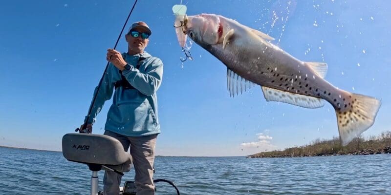 MARSH MAN MASSON: They Want Only This ONE Bait!!