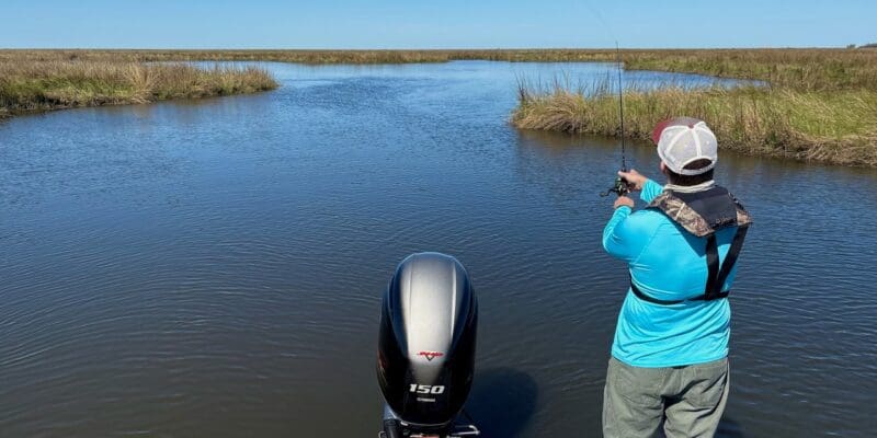 MARSH MAN MASSON: This Popular Port ON FIRE Right Now!