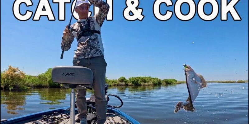 MARSH MAN MASSON: Speckled Trout + More are Deep Here!