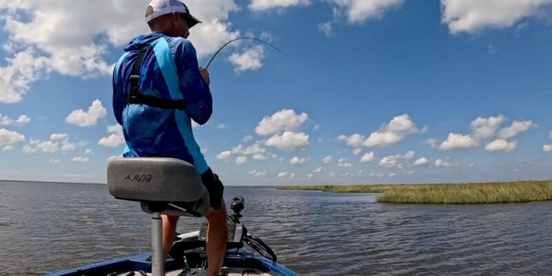 MARSH MAN MASSON: From Marsh to Meal! (Catch & Cook)