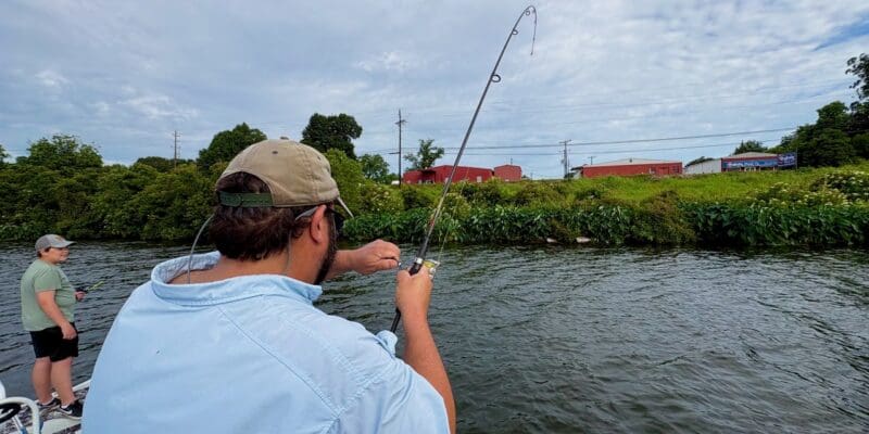 MARSH MAN MASSON: Meat Haul on This Super Accessible Lake!