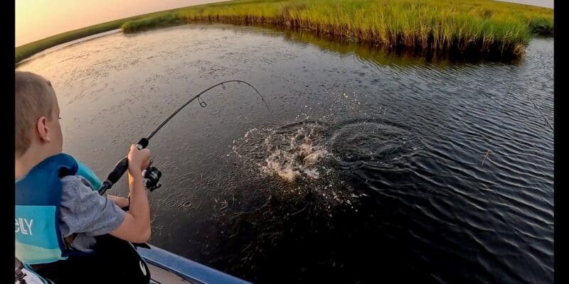 MARSH MAN MASSON: We Caught Absolutely Everything!