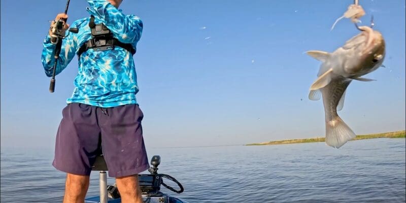 MARSH MAN MASSON: Catch & Cook: Marsh ALWAYS Has Something to Give!