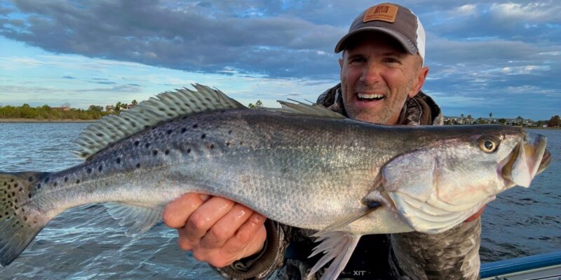 MARSH MAN MASSON: 2 Hours Catching Fish in Residential Canals!